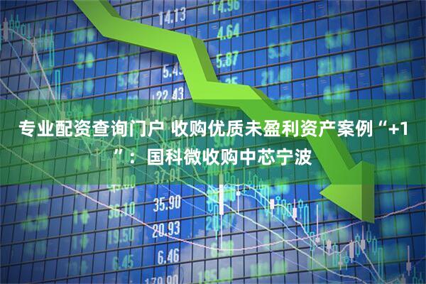 专业配资查询门户 收购优质未盈利资产案例“+1”：国科微收购中芯宁波