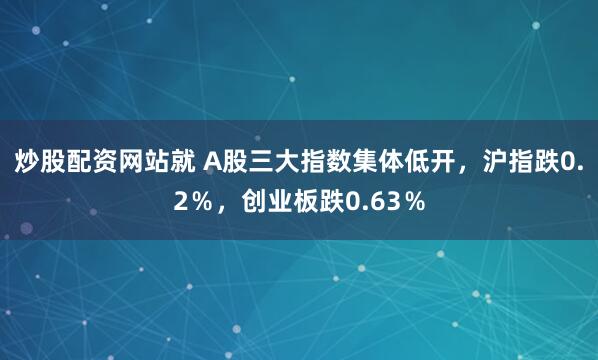 炒股配资网站就 A股三大指数集体低开，沪指跌0.2％，创业板跌0.63％