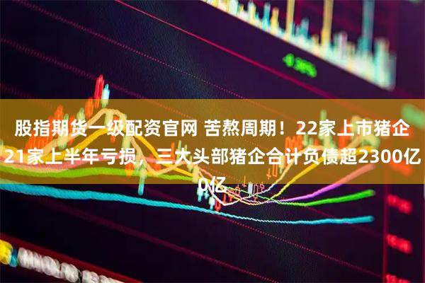 股指期货一级配资官网 苦熬周期！22家上市猪企21家上半年亏损，三大头部猪企合计负债超2300亿
